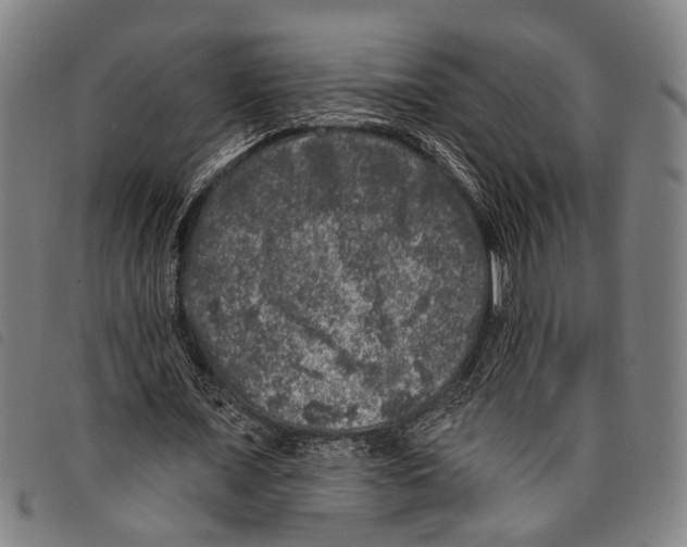 X0000097790675200804041236