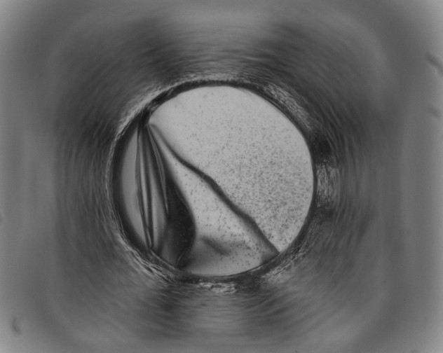 X0000097790676200804041236