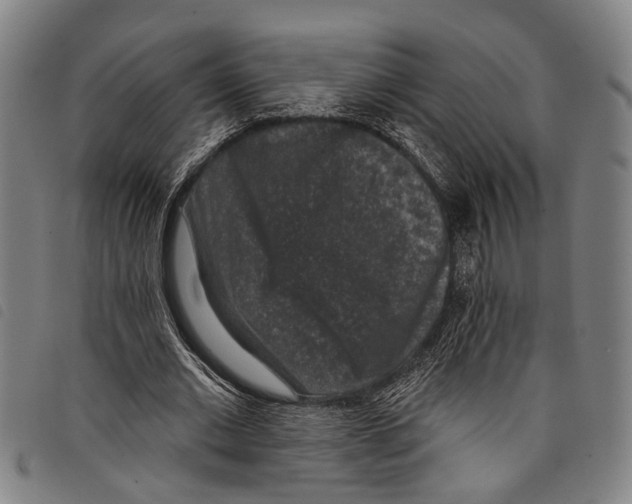 X0000097790677200804041236