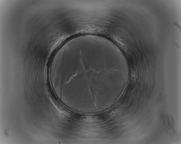 X0000097790678200804041236