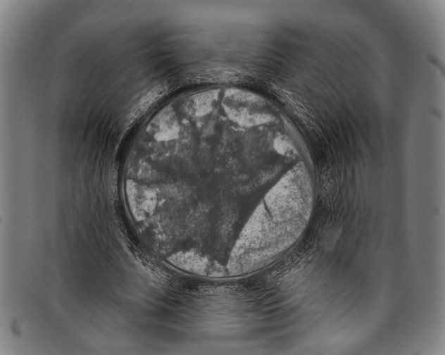 X0000097790679200804041236