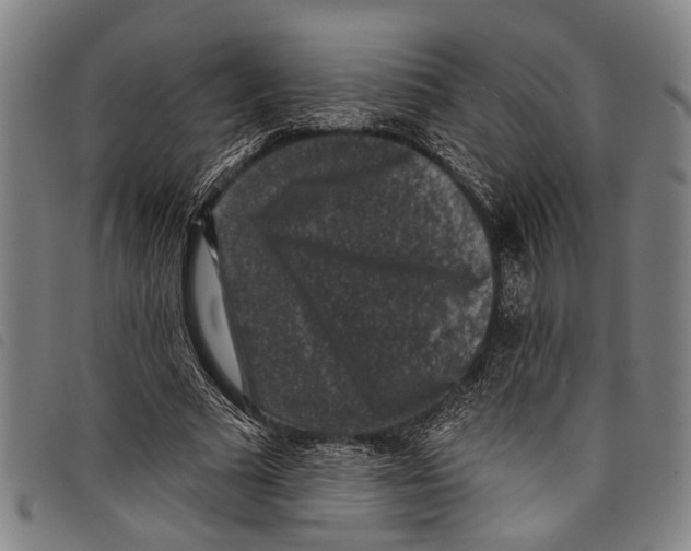 X0000097790681200804041236