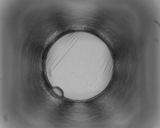 X0000097790682200804041236