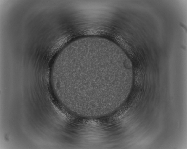 X0000097790683200804041236
