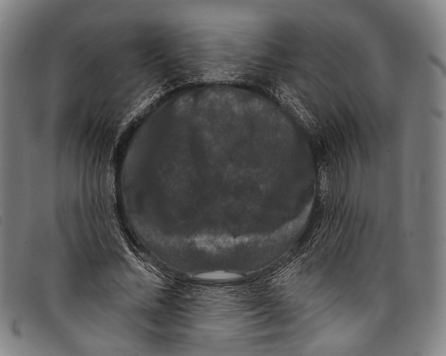 X0000097790684200804041236