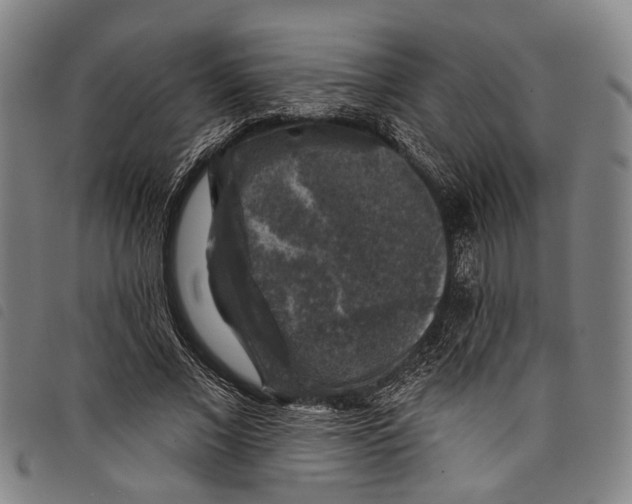 X0000097790685200804041236