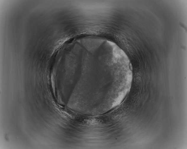 X0000097790688200804041236