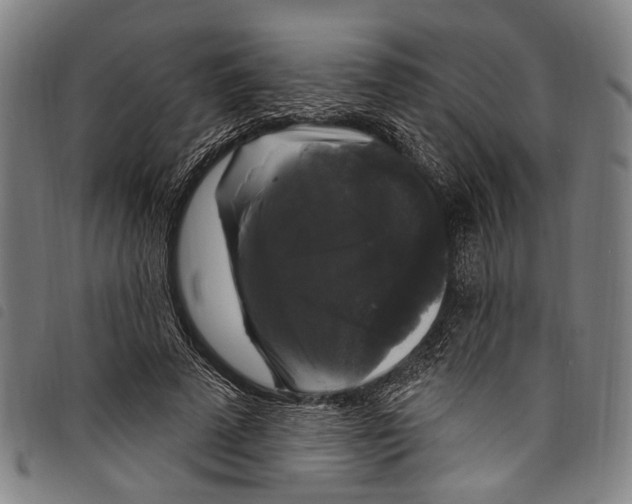 X0000097790689200804041236