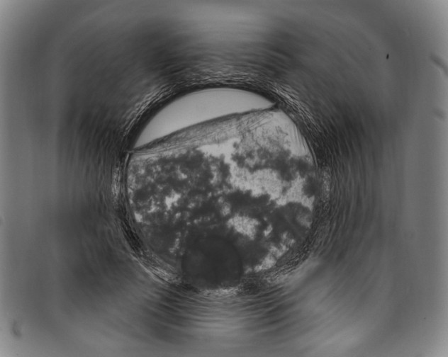 X0000097790691200804041236