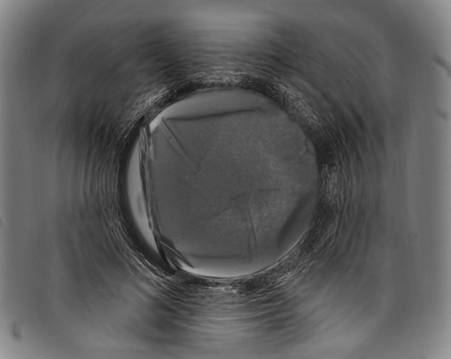 X0000097790692200804041236