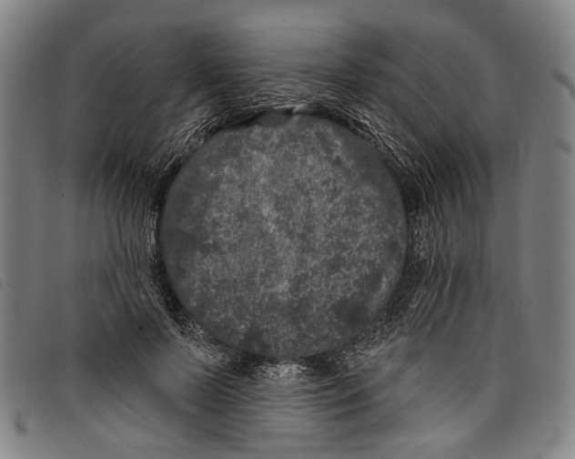 X0000097790695200804041236