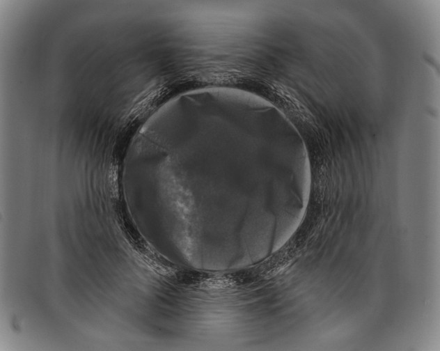 X0000097790696200804041236