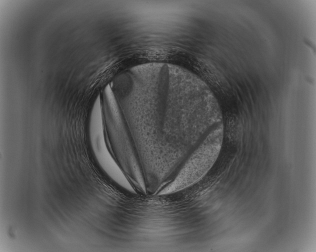 X0000097790697200804041236