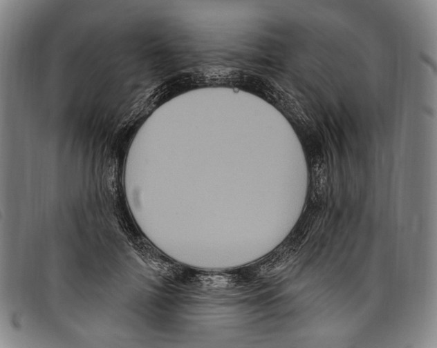 X0000097790698200804041236