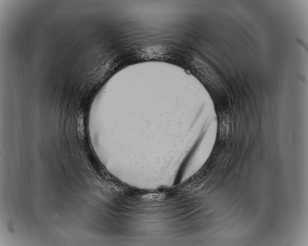 X0000097790700200804041236