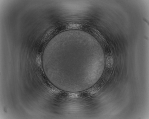 X0000097790701200804041236