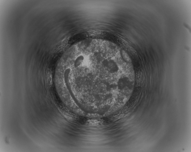 X0000097790703200804041236