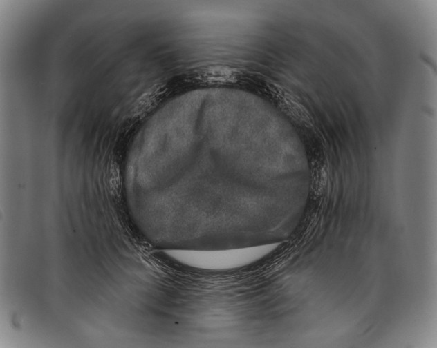 X0000097790704200804041236