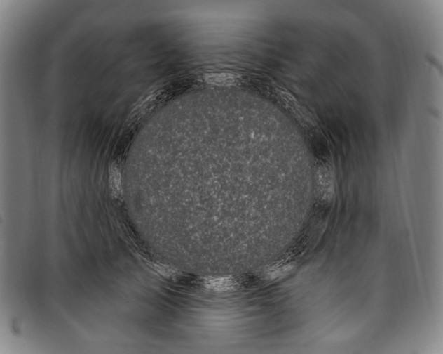 X0000097790705200804041236
