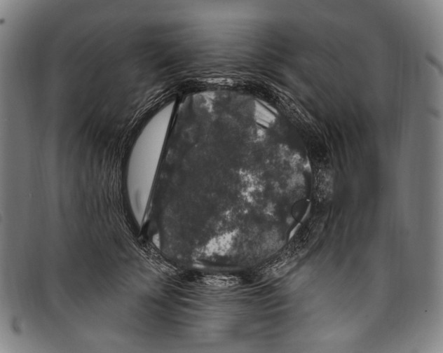 X0000097790707200804041236