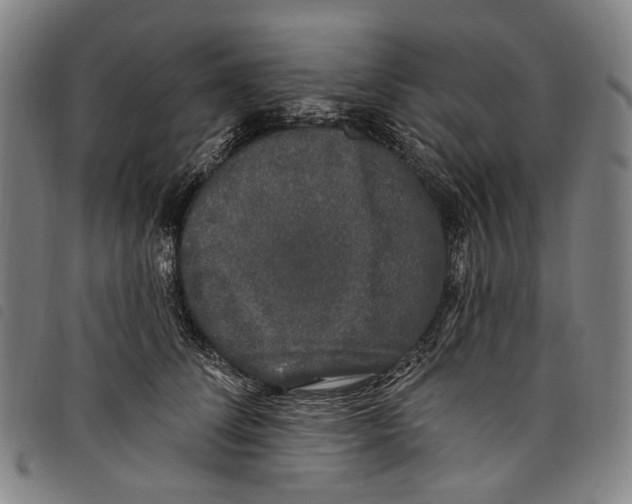 X0000097790708200804041236