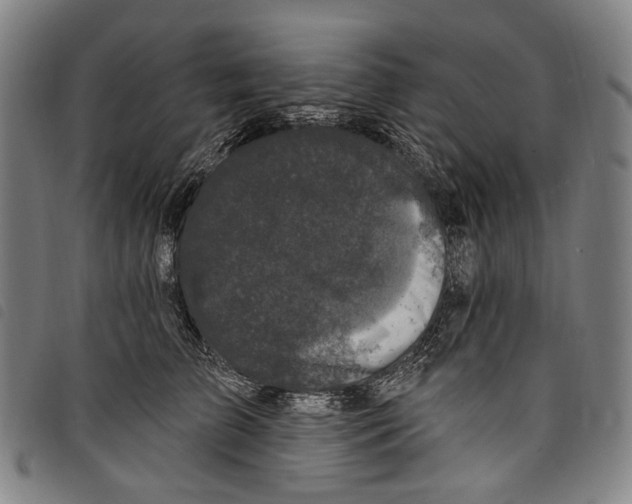 X0000097790709200804041236