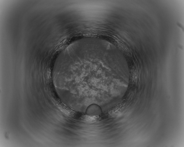 X0000097790711200804041236