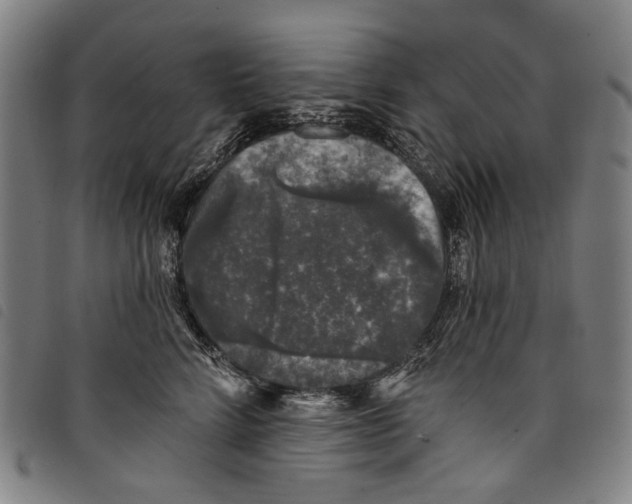 X0000097790712200804041236
