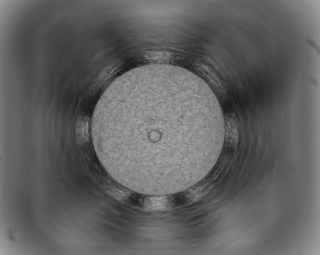 X0000097790717200804041236