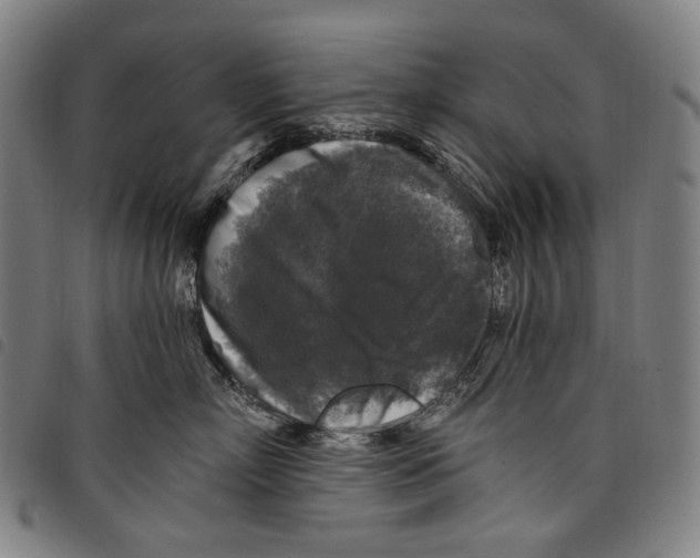 X0000097790718200804041236