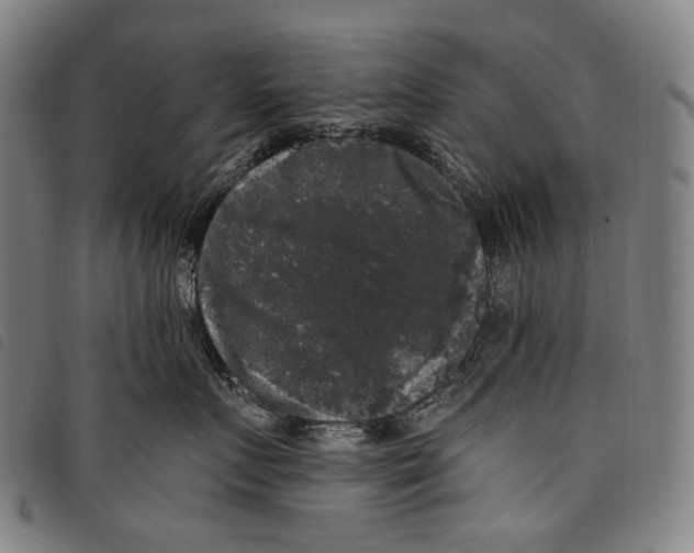 X0000097790719200804041236