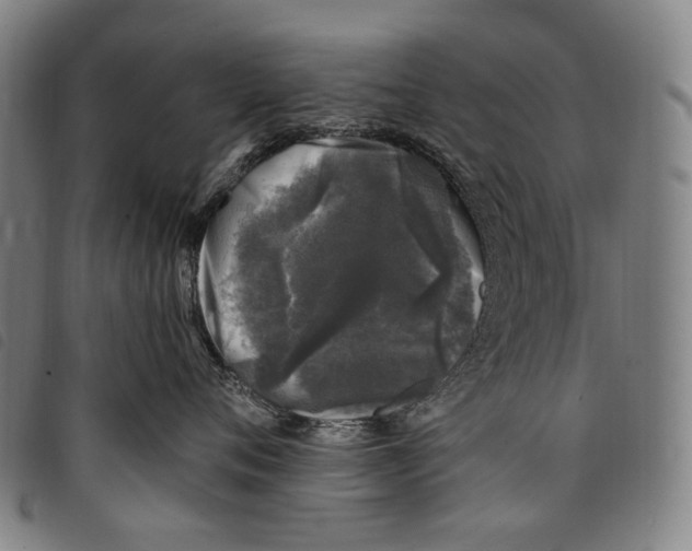 X0000097790720200804041235