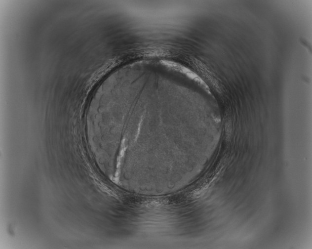 X0000097790721200804041235