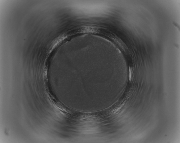 X0000097790723200804041235