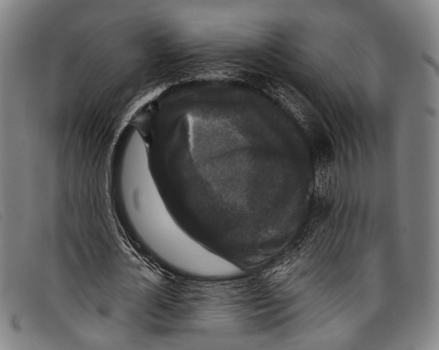 X0000097790724200804041235