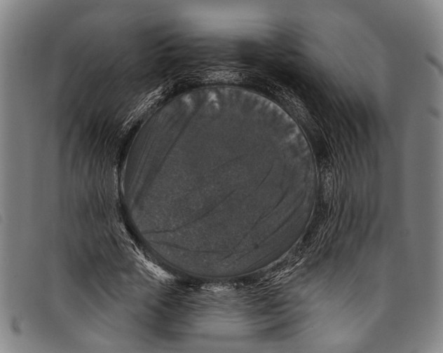 X0000097790729200804041235