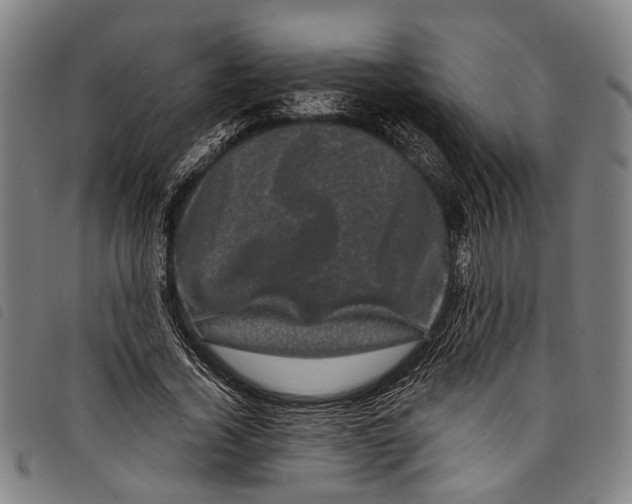 X0000097790732200804041235