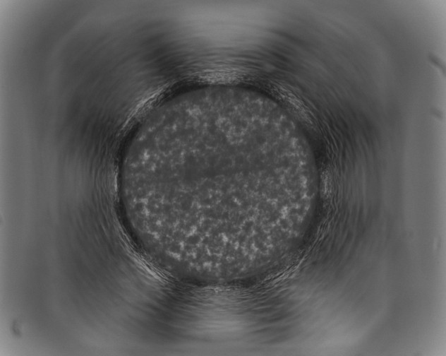X0000097790733200804041235