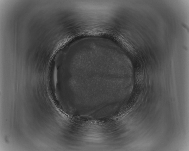 X0000097790736200804041235