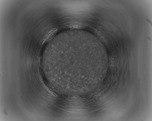 X0000097790738200804041235