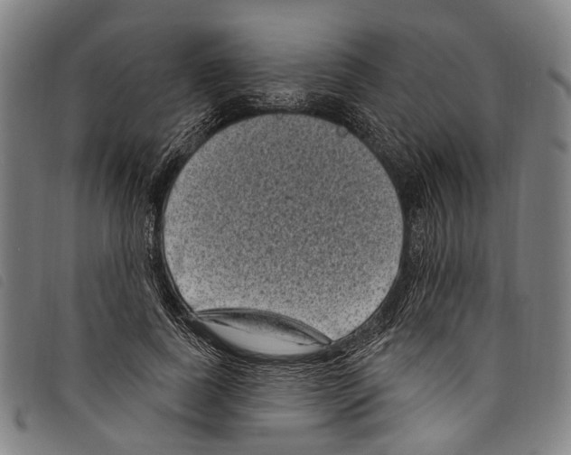 X0000097790739200804041235