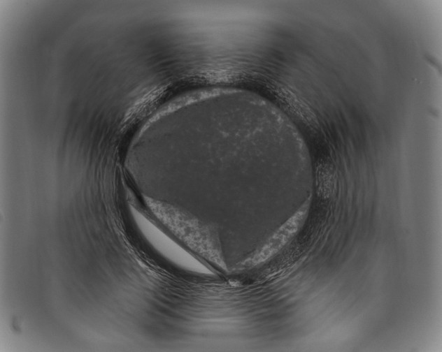 X0000097790740200804041235
