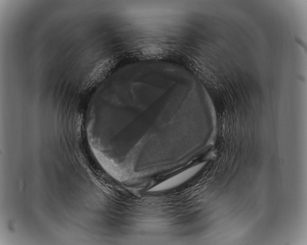 X0000097790742200804041235