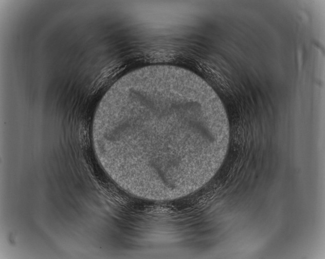 X0000097790743200804041235