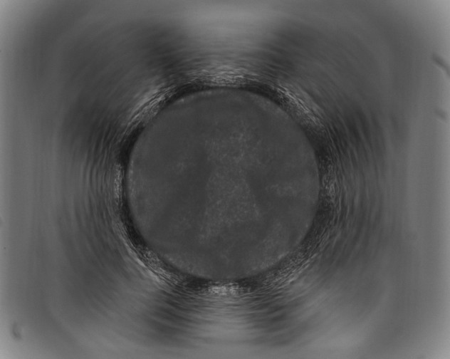 X0000097790744200804041235