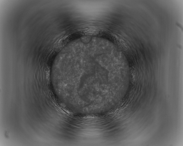 X0000097790745200804041235