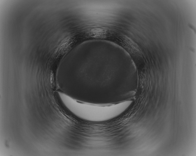 X0000097790748200804041235