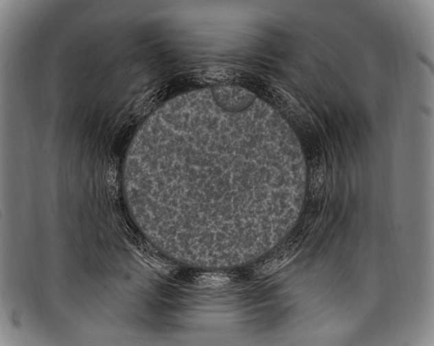 X0000097790749200804041235