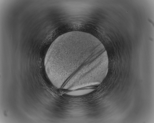 X0000097790750200804041235