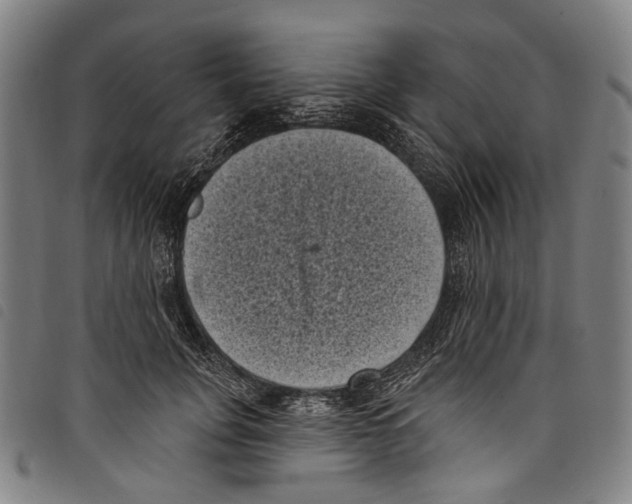 X0000097790751200804041235
